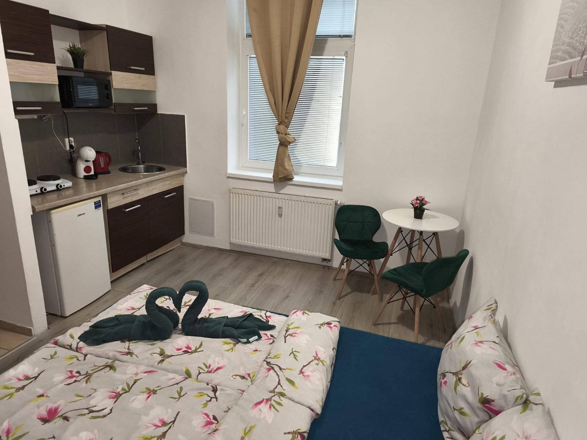 Apartia Krenova, Brno-Center Esterno foto